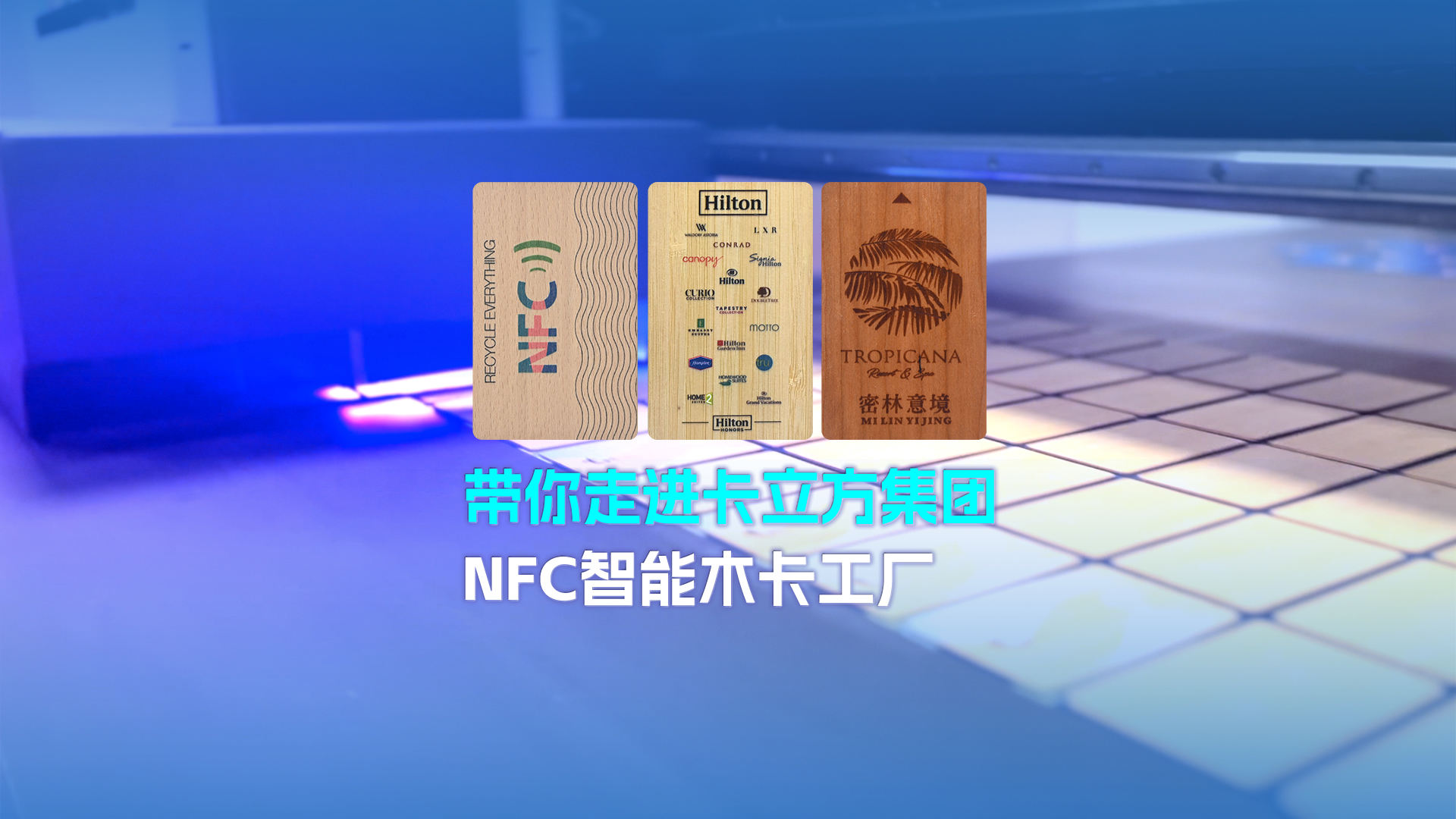 微信圖片_20250304104736 微信圖片_20250304104736