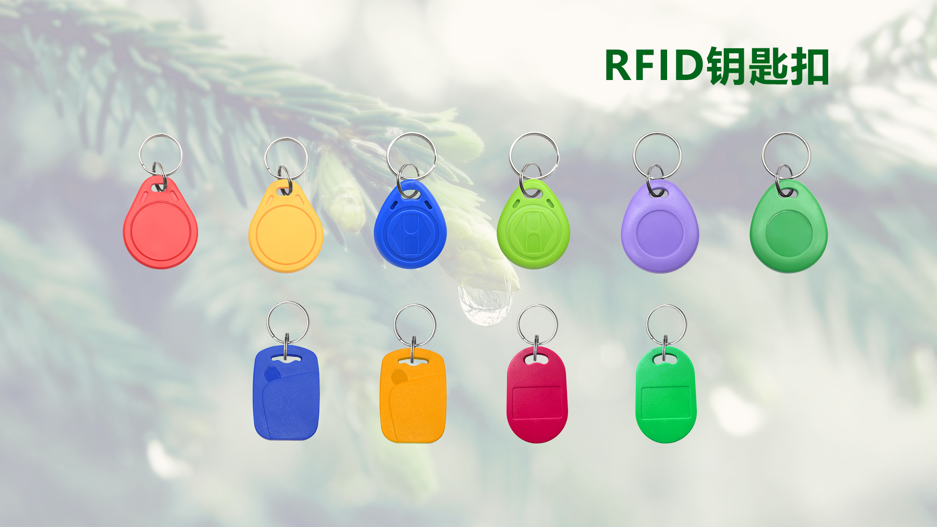 微信圖片_20250929105639_456_127